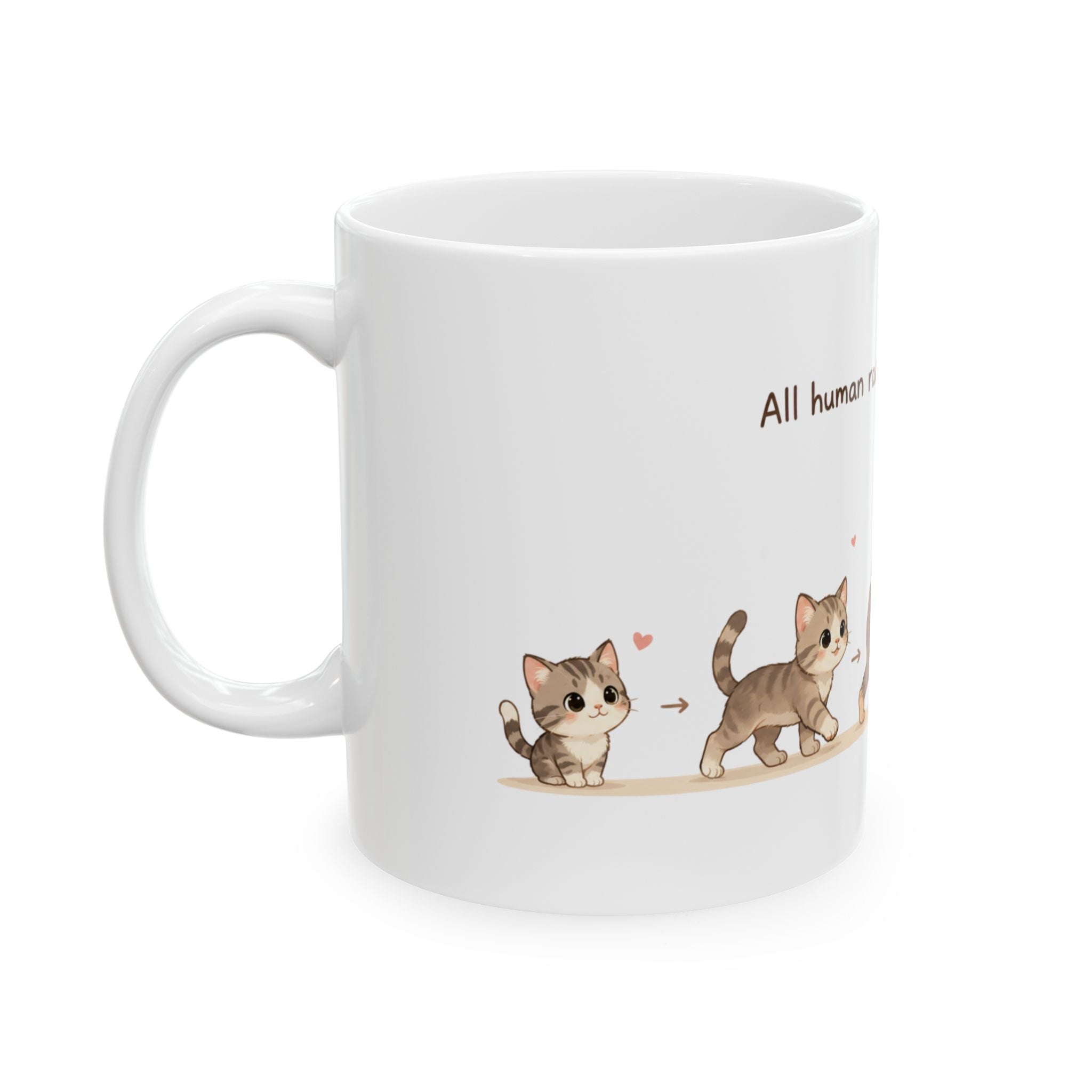 Funny Cat Lovers Mug Cute Coffee Tea Cup Ceramic Mug Best Gift Cats Evolution