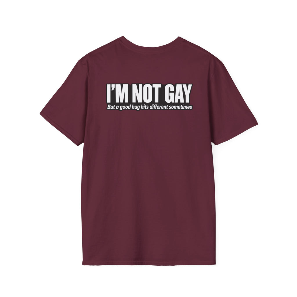 Dark Humor Funny Tshirt I'm not Gay but a Hug huts different Tee Unique Gift Unisex Softsyle Shirt